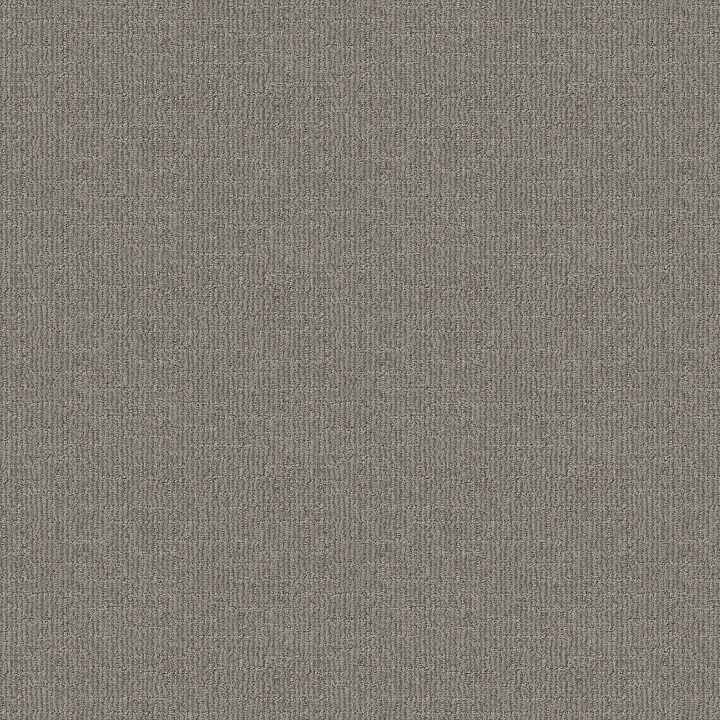 Shaw Floors Wayfarer — Horizon · ZZ225-00353 — flooring selection with LeviArs Design & Remodeling
