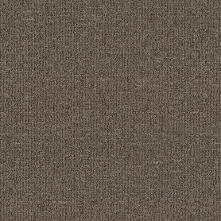 Shaw Floors Wayfarer — Mustang · ZZ225-00776 — flooring selection with LeviArs Design & Remodeling