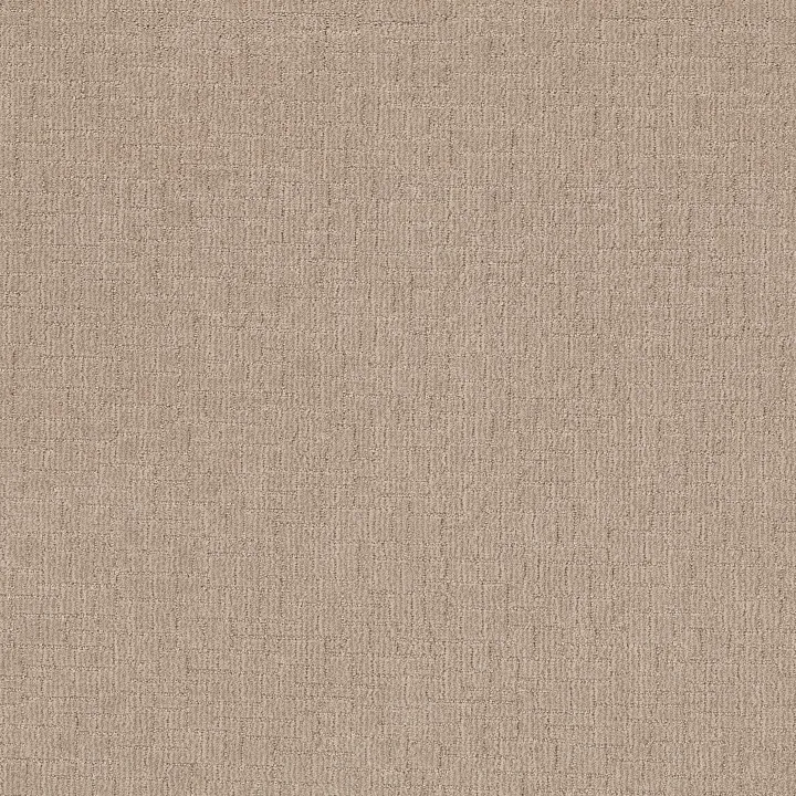 Shaw Floors Wayfarer — Mystic Beige · ZZ225-00123 — flooring selection with LeviArs Design & Remodeling