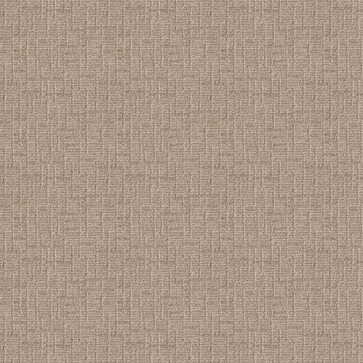 Shaw Floors Wayfarer — Peanut Shell · ZZ225-00273 — flooring selection with LeviArs Design & Remodeling
