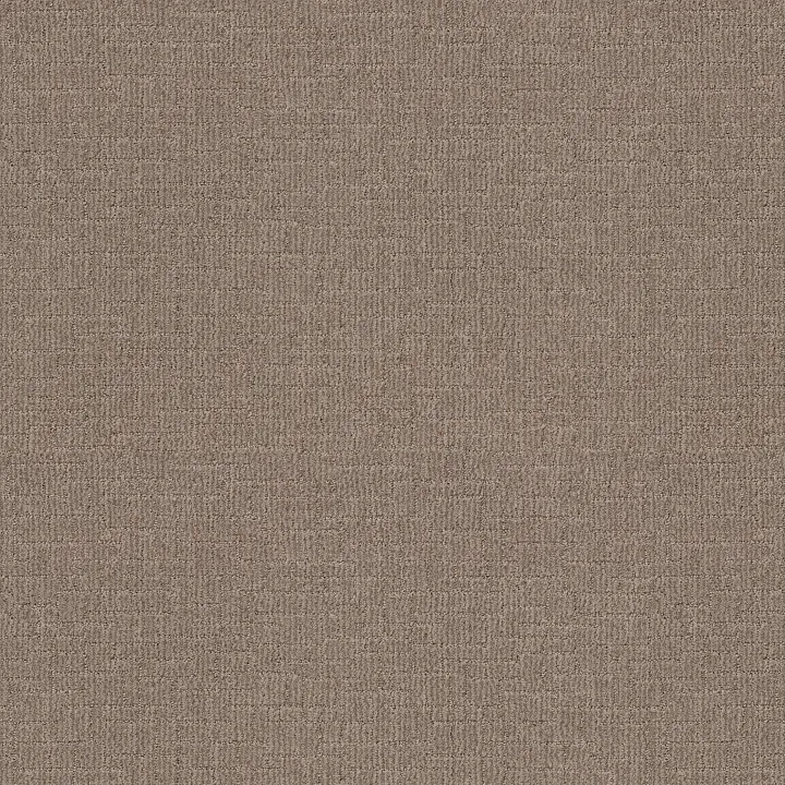 Shaw Floors Wayfarer — Plains · ZZ225-00753 — flooring selection with LeviArs Design & Remodeling