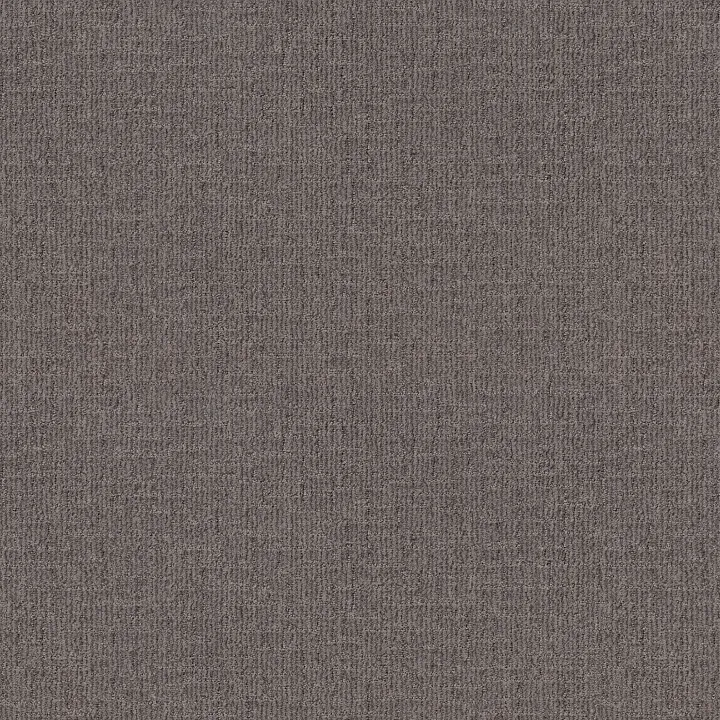 Shaw Floors Wayfarer — Portland · ZZ225-00576 — flooring selection with LeviArs Design & Remodeling