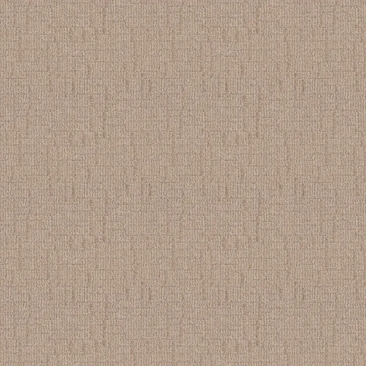 Shaw Floors Wayfarer — Straw · ZZ225-00272 — flooring selection with LeviArs Design & Remodeling