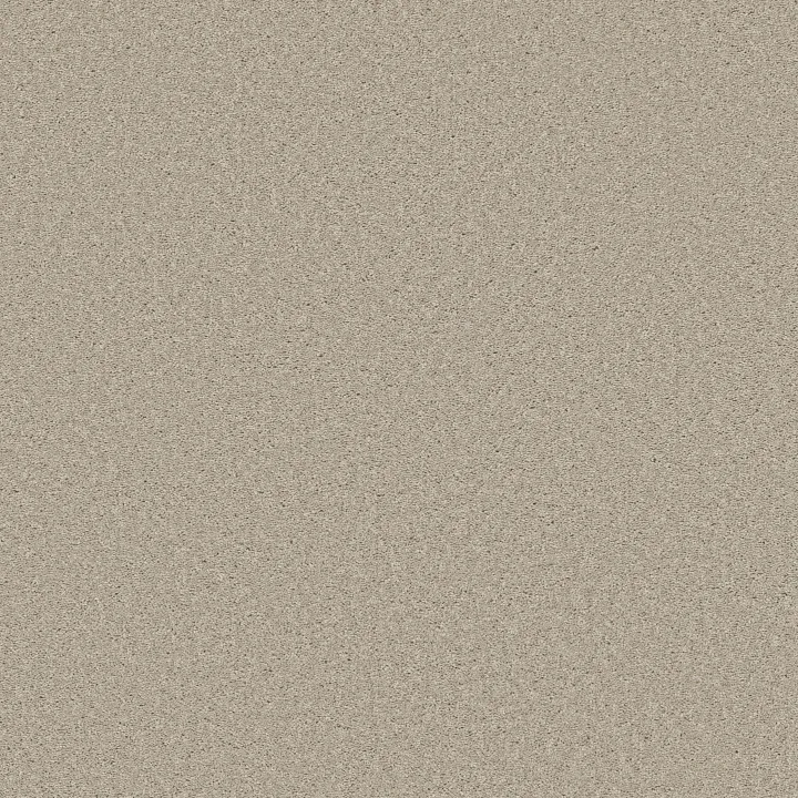 Shaw Floors Well Made — Ecru · 5E667-00103 — flooring selection with LeviArs Design & Remodeling