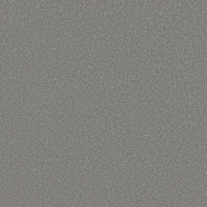 Shaw Floors Well Made — Nickel · 5E667-00502 — flooring selection with LeviArs Design & Remodeling