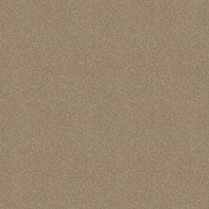 Shaw Floors Well Played I 12' — Almond Bark · E0562-00106 — flooring selection with LeviArs Design & Remodeling