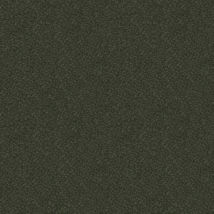 Shaw Floors Well Played I 12' — Aspen · E0562-00302 — flooring selection with LeviArs Design & Remodeling
