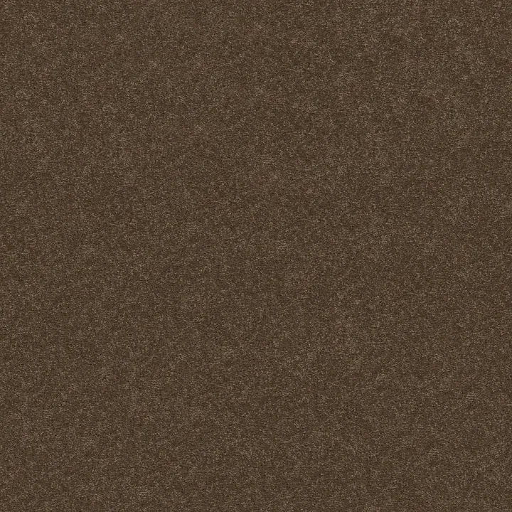 Shaw Floors Well Played I 12' — Briar Patch · E0562-00703 — flooring selection with LeviArs Design & Remodeling
