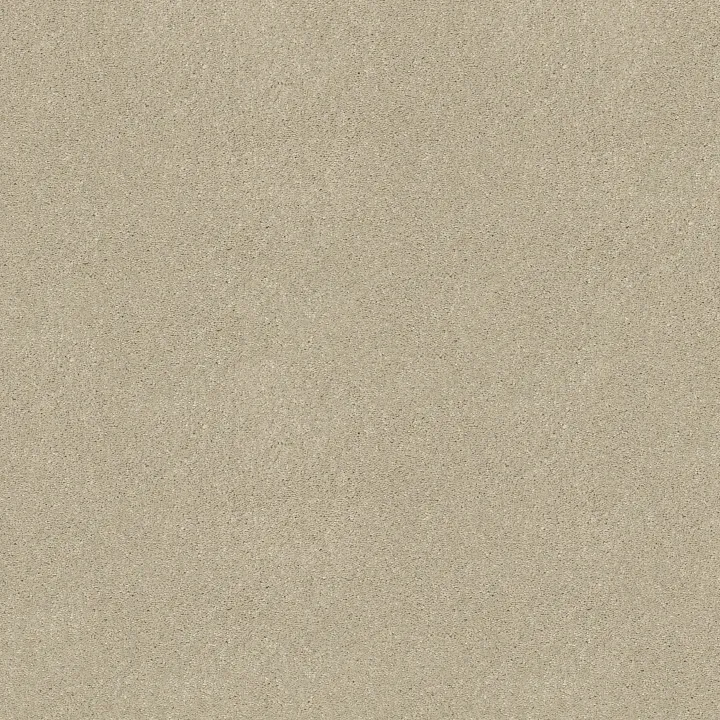 Shaw Floors Well Played I 12' — Creamy Tint · E0562-00101 — flooring selection with LeviArs Design & Remodeling