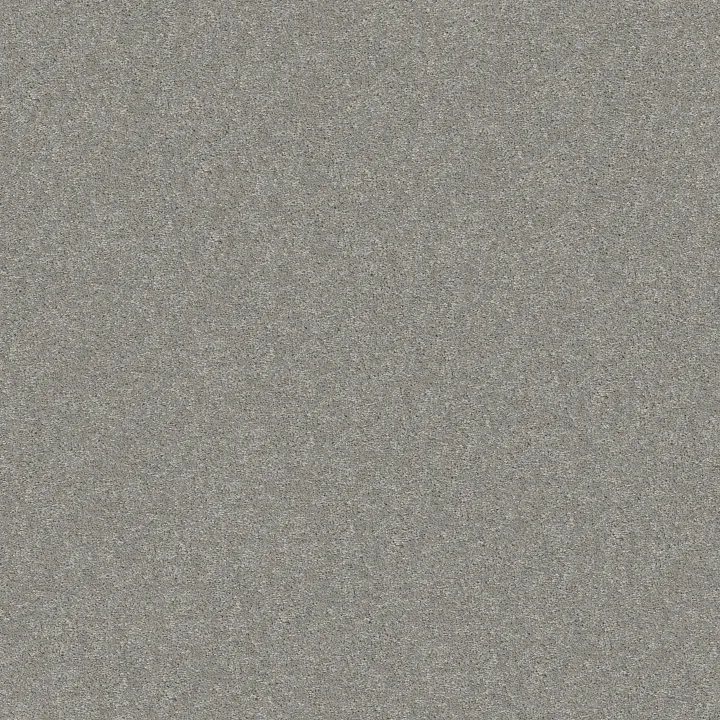 Shaw Floors Well Played I 12' — Dove Tail · E0562-00501 — flooring selection with LeviArs Design & Remodeling