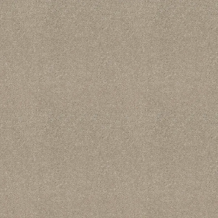 Shaw Floors Well Played I 12' — Ecru · E0562-00103 — flooring selection with LeviArs Design & Remodeling