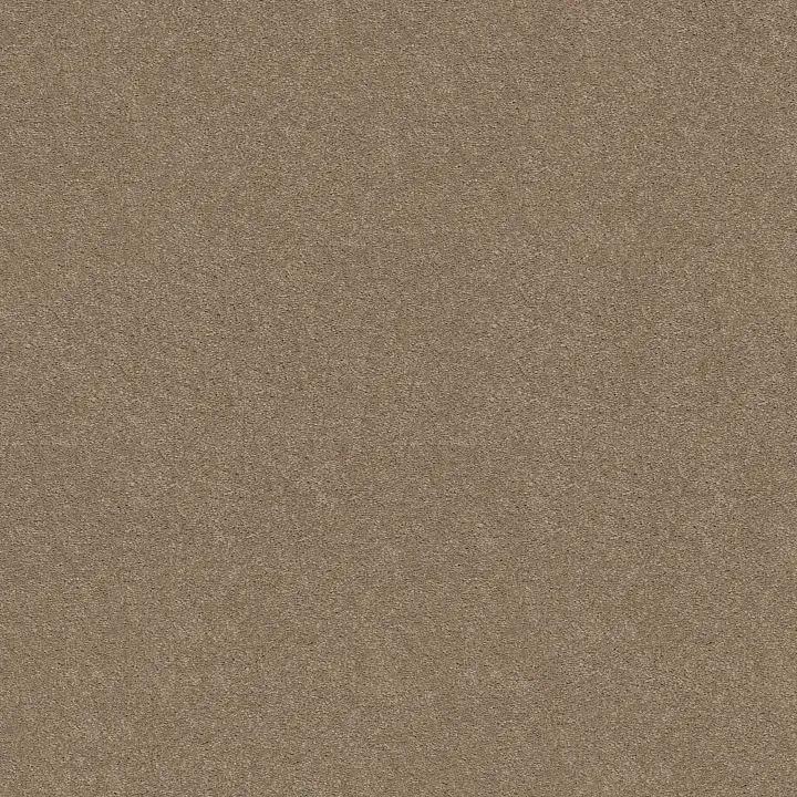 Shaw Floors Well Played I 12' — Honeycomb · E0562-00200 — flooring selection with LeviArs Design & Remodeling