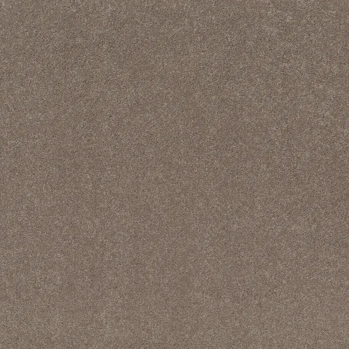 Shaw Floors Well Played I 12' — Mocha Frost · E0562-00702 — flooring selection with LeviArs Design & Remodeling
