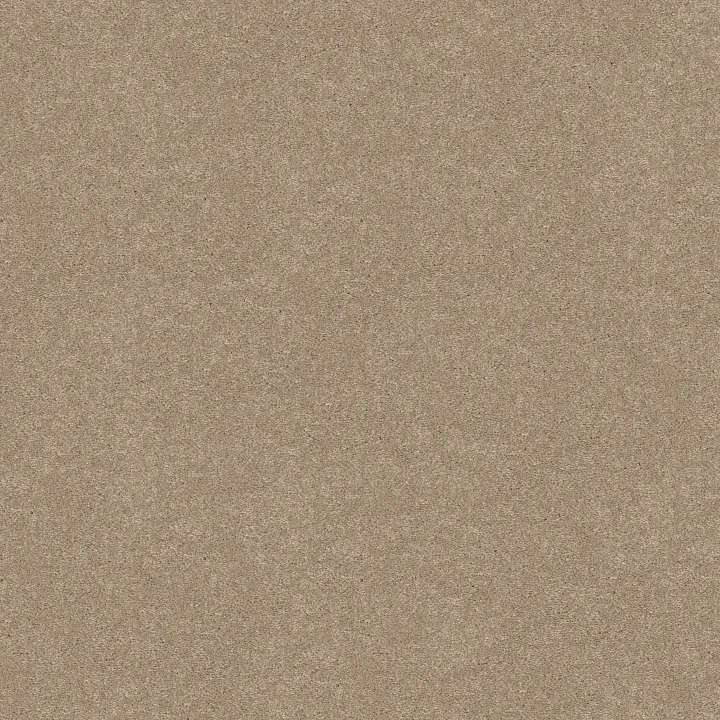 Shaw Floors Well Played I 12' — Natural Beige · E0562-00700 — flooring selection with LeviArs Design & Remodeling