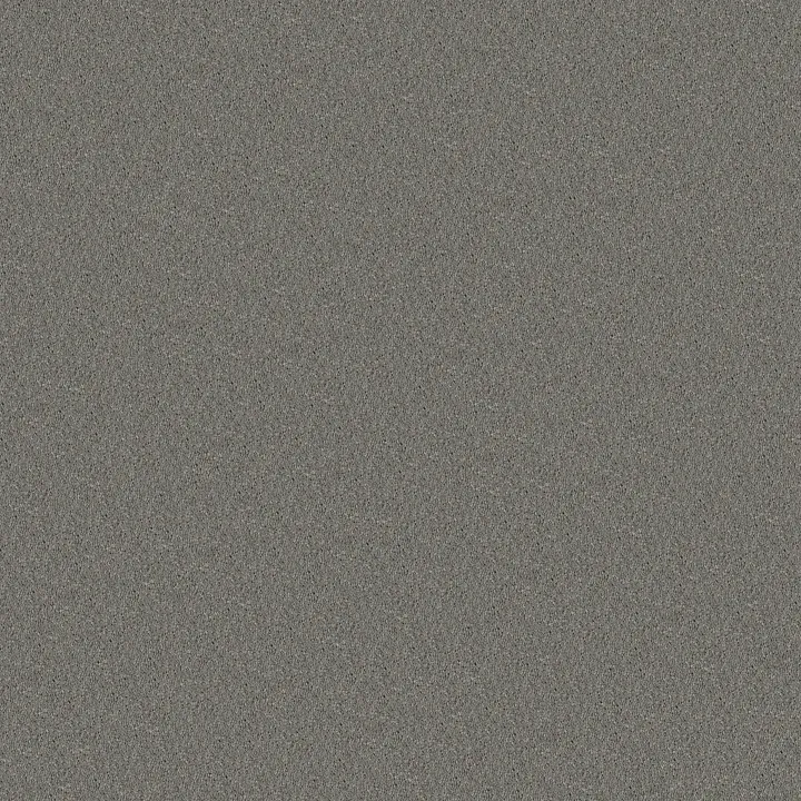 Shaw Floors Well Played I 12' — Nickel · E0562-00502 — flooring selection with LeviArs Design & Remodeling