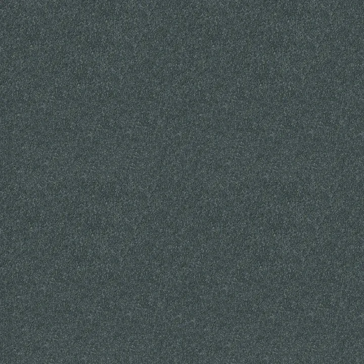 Shaw Floors Well Played I 12' — Pacific · E0562-00401 — flooring selection with LeviArs Design & Remodeling