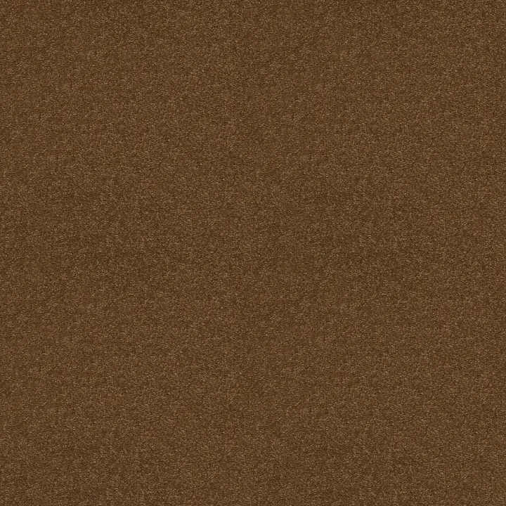 Shaw Floors Well Played I 12' — Pottery · E0562-00600 — flooring selection with LeviArs Design & Remodeling