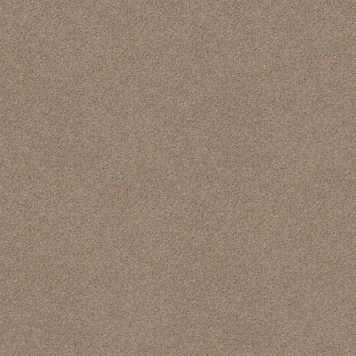Shaw Floors Well Played I 12' — Sandy Nook · E0562-00104 — flooring selection with LeviArs Design & Remodeling