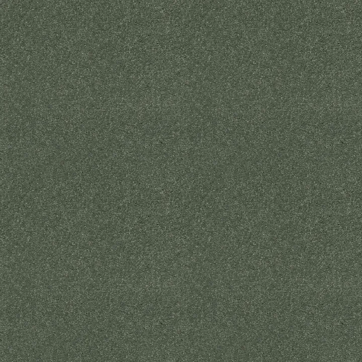 Shaw Floors Well Played I 12' — Spring Leaf · E0562-00300 — flooring selection with LeviArs Design & Remodeling