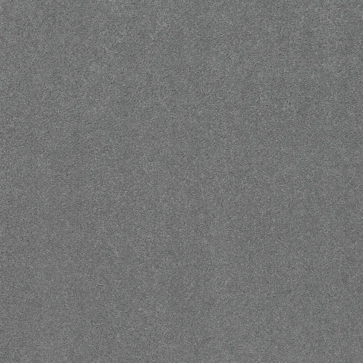 Shaw Floors Well Played I 12' — Sweet Blue · E0562-00400 — flooring selection with LeviArs Design & Remodeling