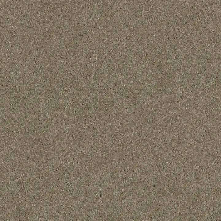 Shaw Floors Well Played I 12' — Wild Rice · E0562-00105 — flooring selection with LeviArs Design & Remodeling