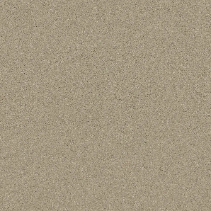 Shaw Floors Well Played I 12' — Agate · E0562-00102 — flooring selection with LeviArs Design & Remodeling