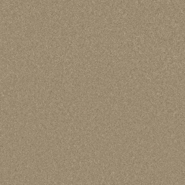 Shaw Floors Well Played I 15' — Almond Bark · E0596-00106 — flooring selection with LeviArs Design & Remodeling