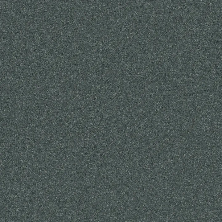 Shaw Floors Well Played I 15' — Blue Lagoon · E0596-00301 — flooring selection with LeviArs Design & Remodeling