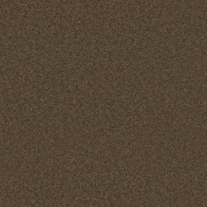 Shaw Floors Well Played I 15' — Briar Patch · E0596-00703 — flooring selection with LeviArs Design & Remodeling