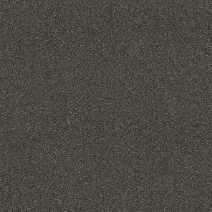 Shaw Floors Well Played I 15' — Charcoal · E0596-00504 — flooring selection with LeviArs Design & Remodeling