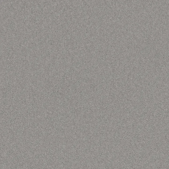 Shaw Floors Well Played I 15' — Dove Tail · E0596-00501 — flooring selection with LeviArs Design & Remodeling
