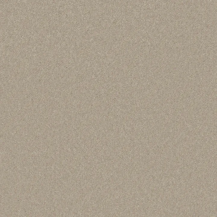 Shaw Floors Well Played I 15' — Ecru · E0596-00103 — flooring selection with LeviArs Design & Remodeling