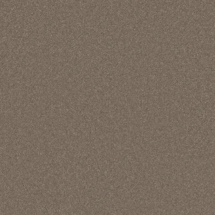 Shaw Floors Well Played I 15' — Mocha Frost · E0596-00702 — flooring selection with LeviArs Design & Remodeling