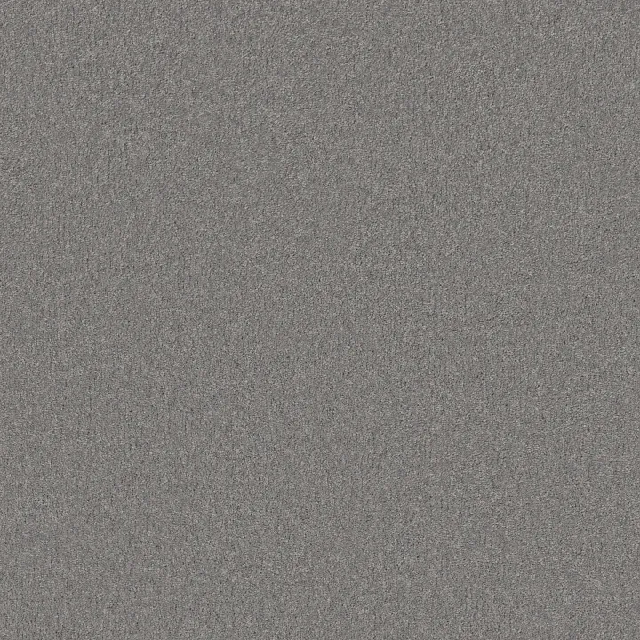 Shaw Floors Well Played I 15' — Nickel · E0596-00502 — flooring selection with LeviArs Design & Remodeling