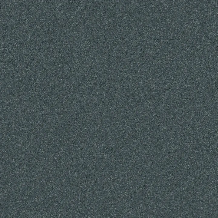 Shaw Floors Well Played I 15' — Pacific · E0596-00401 — flooring selection with LeviArs Design & Remodeling