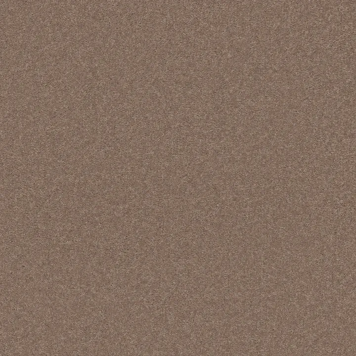 Shaw Floors Well Played I 12' — Pebble Creek · E0562-00701 — flooring selection with LeviArs Design & Remodeling