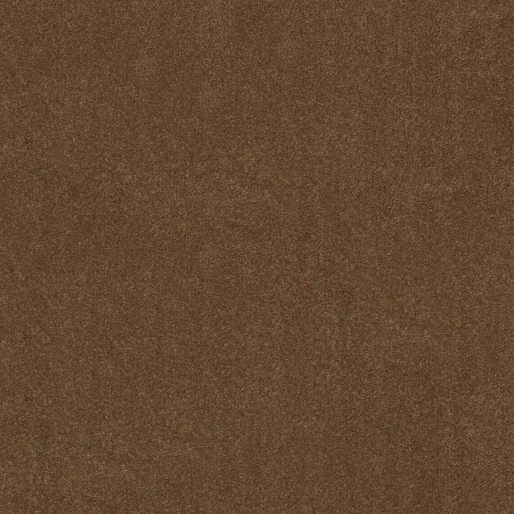 Shaw Floors Well Played I 15' — Pottery · E0596-00600 — flooring selection with LeviArs Design & Remodeling