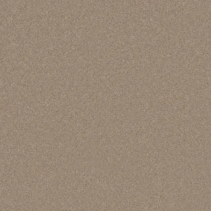 Shaw Floors Well Played I 15' — Sandy Nook · E0596-00104 — flooring selection with LeviArs Design & Remodeling