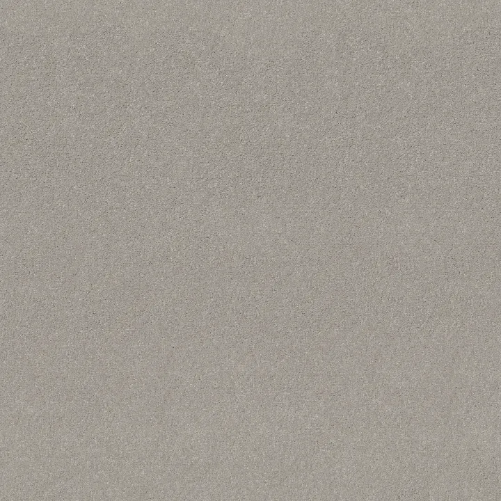Shaw Floors Well Played I 15' — Sheer Silver · E0596-00500 — flooring selection with LeviArs Design & Remodeling