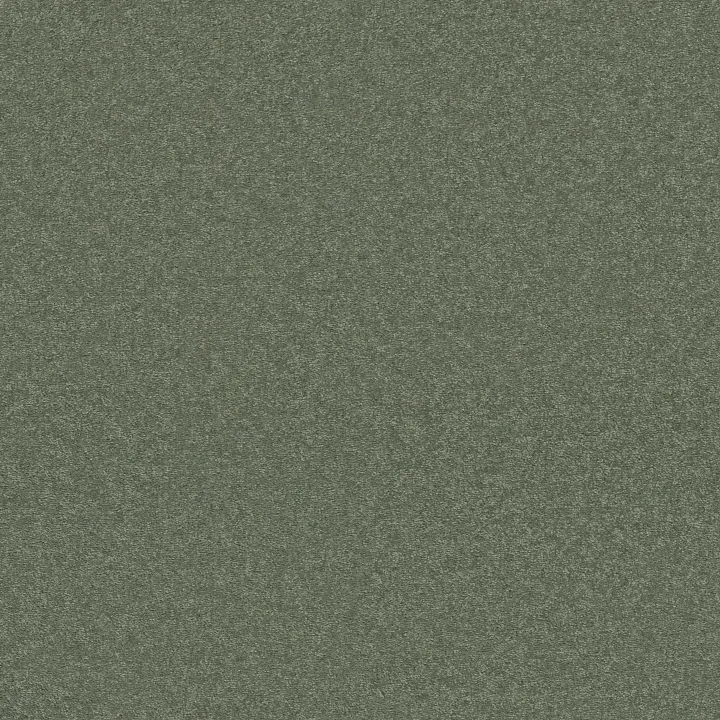 Shaw Floors Well Played I 15' — Spring Leaf · E0596-00300 — flooring selection with LeviArs Design & Remodeling