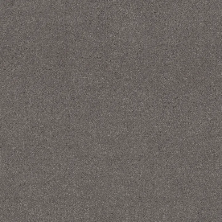 Shaw Floors Well Played I 12' — Thunder · E0562-00503 — flooring selection with LeviArs Design & Remodeling