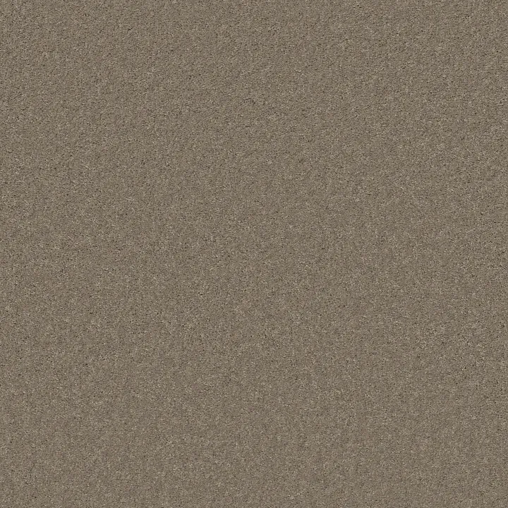 Shaw Floors Well Played I 15' — Wild Rice · E0596-00105 — flooring selection with LeviArs Design & Remodeling