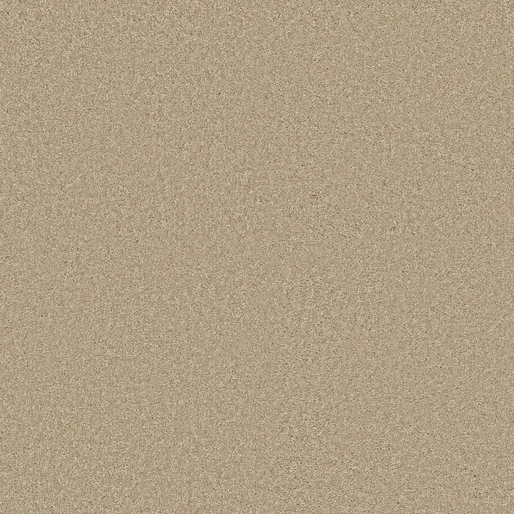 Shaw Floors Well Played II 12 — Agate · E0563-00102 — flooring selection with LeviArs Design & Remodeling
