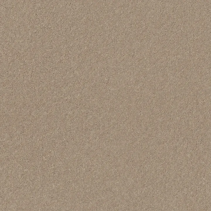 Shaw Floors Well Played II 12 — Almond Bark · E0563-00106 — flooring selection with LeviArs Design & Remodeling