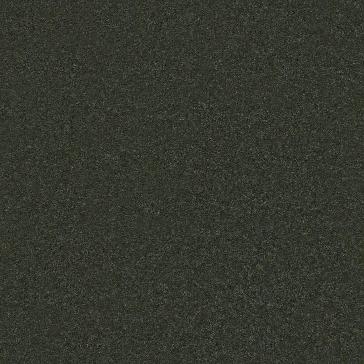 Shaw Floors Well Played II 12 — Aspen · E0563-00302 — flooring selection with LeviArs Design & Remodeling