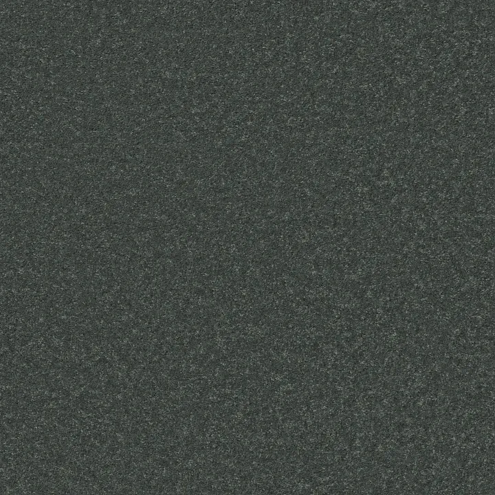 Shaw Floors Well Played II 12 — Blue Lagoon · E0563-00301 — flooring selection with LeviArs Design & Remodeling
