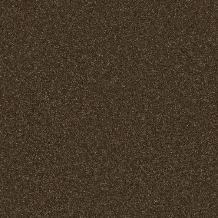 Shaw Floors Well Played II 12 — Briar Patch · E0563-00703 — flooring selection with LeviArs Design & Remodeling