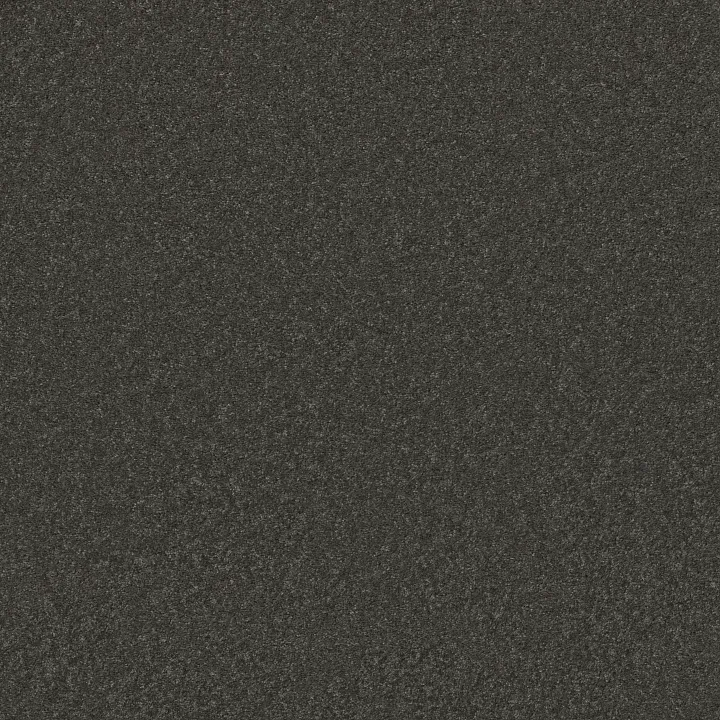 Shaw Floors Well Played II 12 — Charcoal · E0563-00504 — flooring selection with LeviArs Design & Remodeling