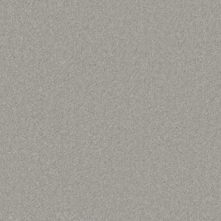 Shaw Floors Well Played II 12 — Dove Tail · E0563-00501 — flooring selection with LeviArs Design & Remodeling