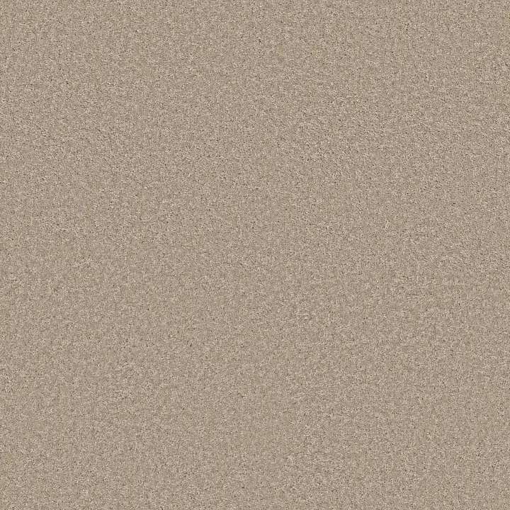 Shaw Floors Well Played II 12 — Ecru · E0563-00103 — flooring selection with LeviArs Design & Remodeling